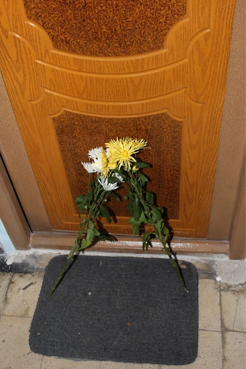 img 2124 preview jpeg