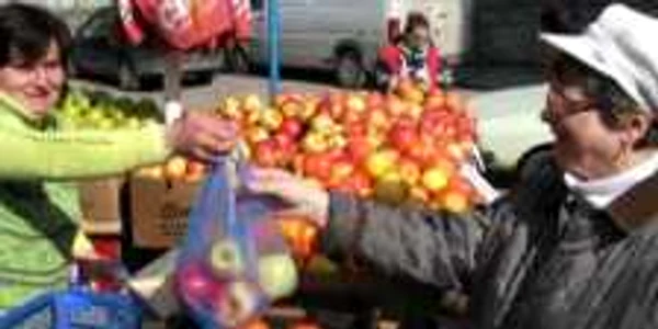 Vânzări bune în pieţe