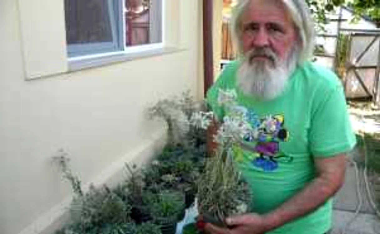 Vasile Sterpu printre florile sale de colţ