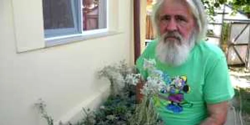 Vasile Sterpu printre florile sale de colţ