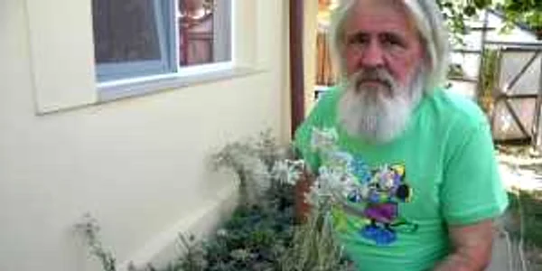 Vasile Sterpu printre florile sale de colţ