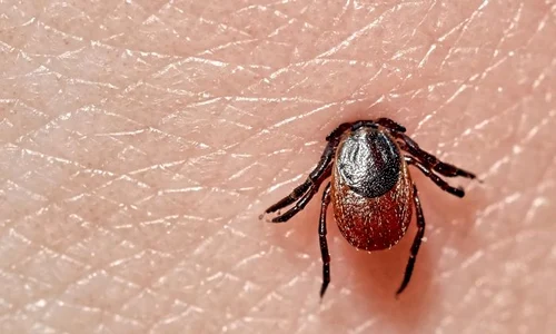 1 shutterstock 1404869825 jpg jpeg