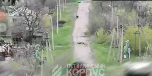 batrana ukr gif gif