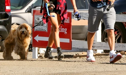 hepta 3168219 jpg jpeg