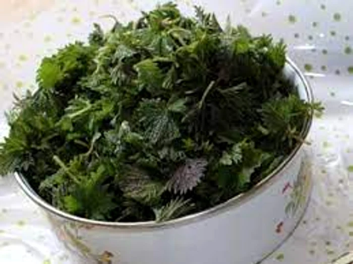 
    Celebrul bucătar bănățean și blogger Uica Mihai foloseşte din plin urzicile în reţetele sale  