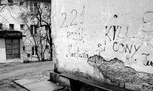 Şapte pitici pe creierul (difuz al) Patriei jpeg