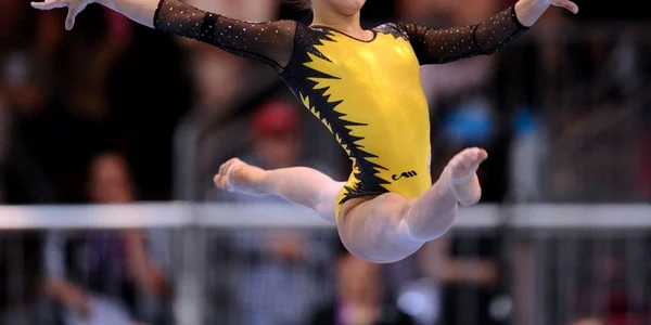 larisa iordache