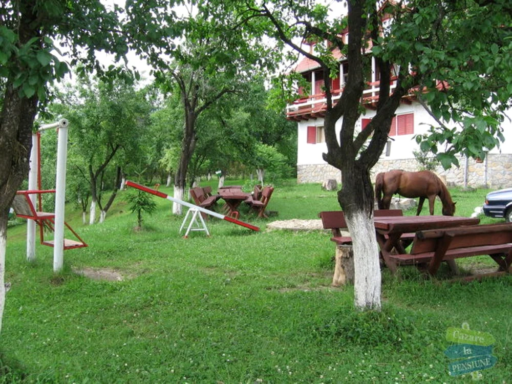 Plaiul Domnesc 