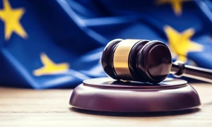 CEDO - Curtea Europeană a Drepturlor Omului FOTO Shutterstock 