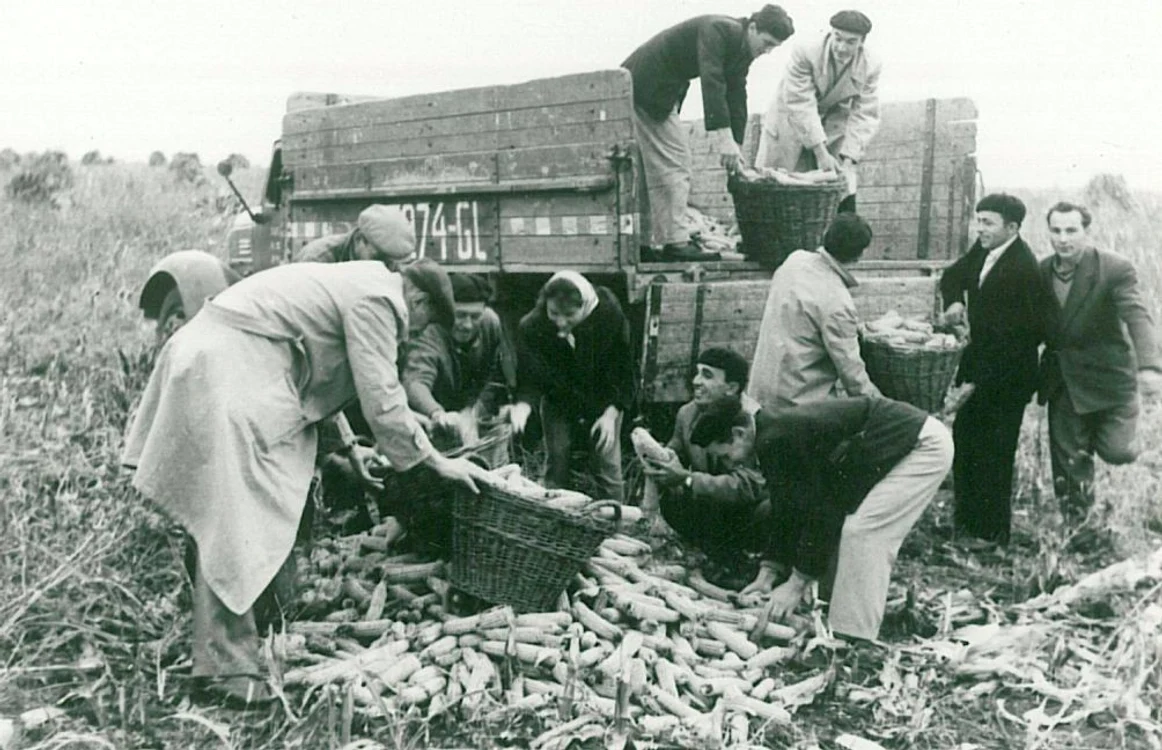 calaarsi epoca de aur