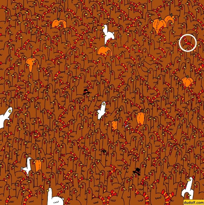 Rezolvarea testului / foto: Dudolf