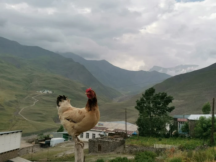 La granița cu Daghestan FOTO Ștefan Both