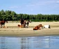 Insula Cailor, o nouă atracție turistică FOTO: Giv Boats