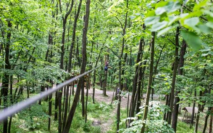 Parcuri de aventură în România