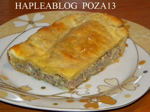 placinta cu carne 13 jpeg