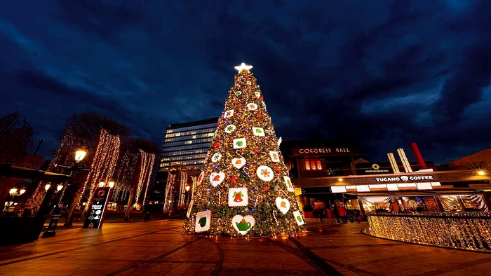 Iulius Town Timisoara jpg