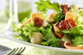 vegetarian 580x400 png