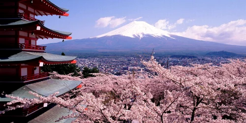 mount fuji 8 jpg jpeg