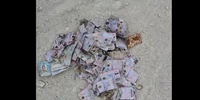 permise de conducere eliberare de Romania jpg