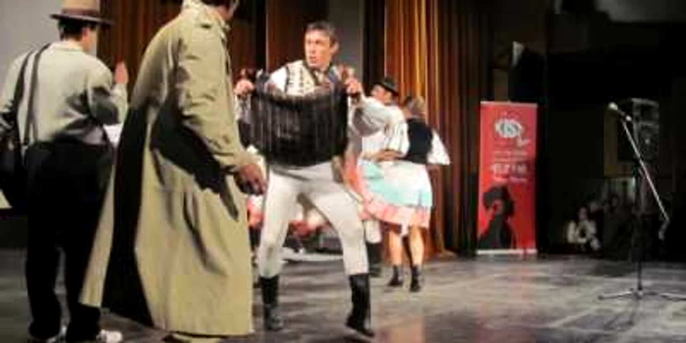 Trupele de teatru le-au adus spectatorilor zâmbetul pe buze