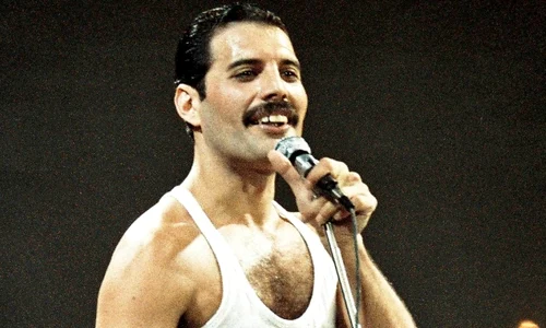 freddie jpeg