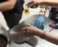 Descinderi DIICOT în timpul unui ritual șamanic (6) jpeg