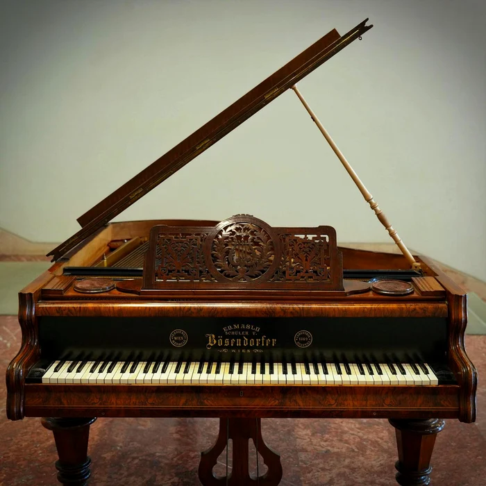 Un pian Bösendorfer pentru public, la Muzeul Național de Artă al României
