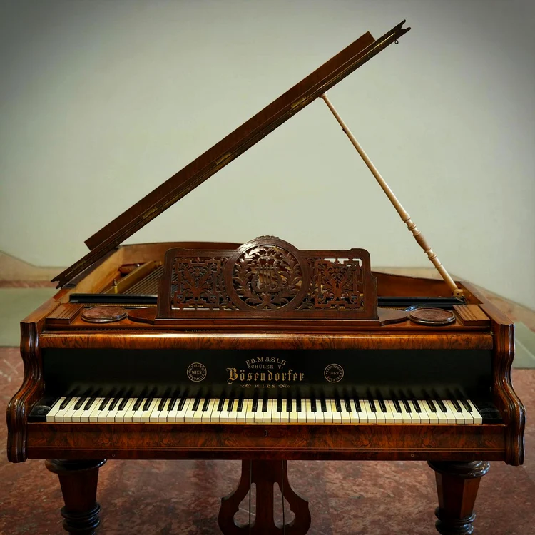 Un pian Bösendorfer pentru public, la Muzeul Național de Artă al României