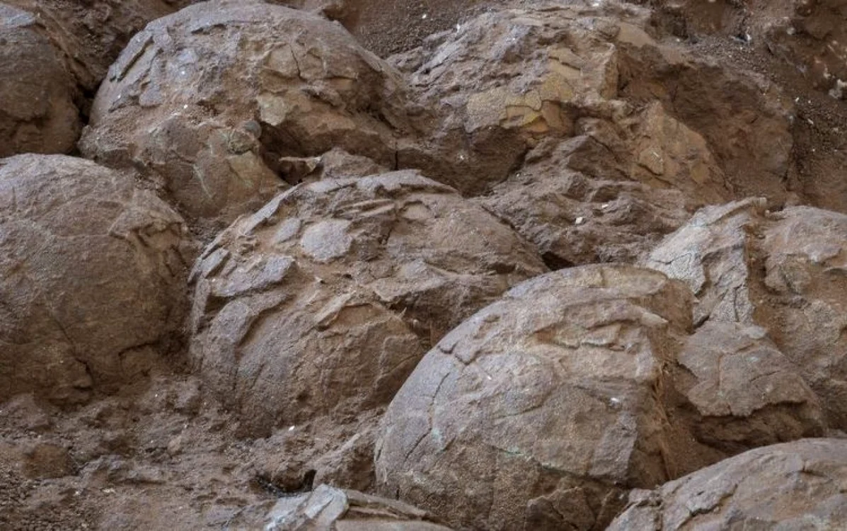 dinozauri tara hategului foto geoparcul tarii hategului