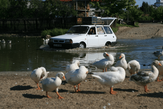 Content image