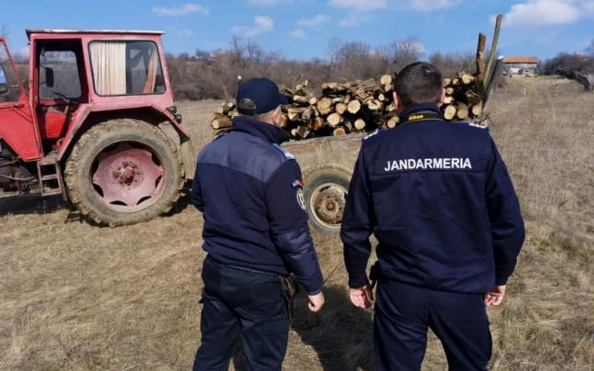 FOTO IJJ Mehedinţi