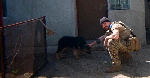 soldat cățel copy jpg