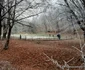 pelerinaj manastirea prislop foto daniel guta adevarul