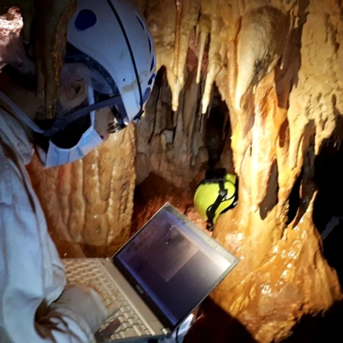 Craniul de la Altamura analizat de cercetători (© Constantino Buzi / IPHES-CERCA)