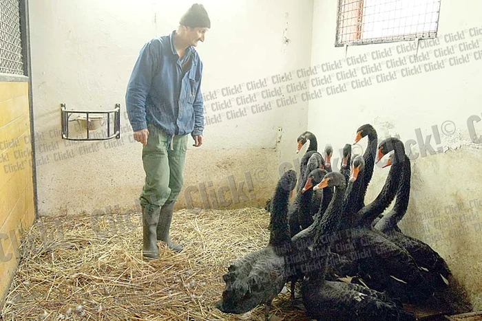 Andrei Gavrilă, 7 ani (Fotografii: Sever Gheorghe, Dorin Constanda)