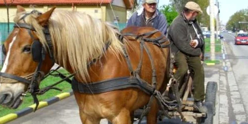 Bărbatul s-a dezechilibrat şi a căzut pe carosabil