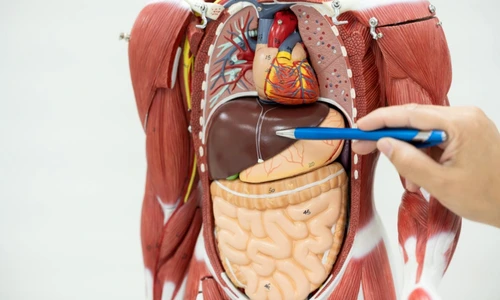 e1dae9be36235bd733d81f3fc1ac5b0d82 jpg