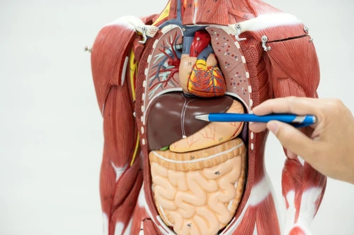 e1dae9be36235bd733d81f3fc1ac5b0d82 jpg