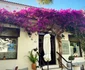 Insula Skiathos / Foto: Click!