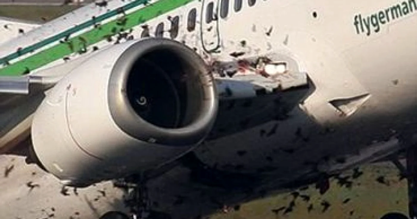Un avion Boeing a fost la un pas de prăbuşire din cauza unui stol de păsări!