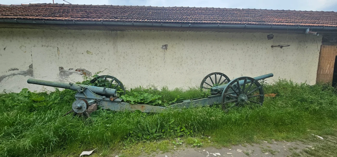 Două tunuri sunt abandonate în bălării Foto: Narcis Daju