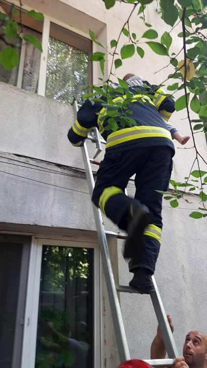 
    Copilul de 2 ani se afla pe pervazul geamului în momentul în care au ajuns pompierii la el Fotografii: ISU Vrancea  