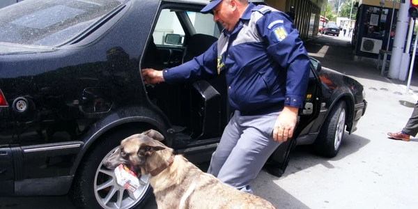 caine antitabac in vama portile de fier I 