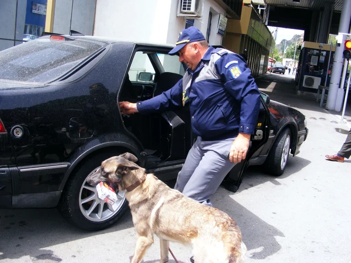 Câine antitabac în Vama Porţile de Fier I FOTO Corina Macavei