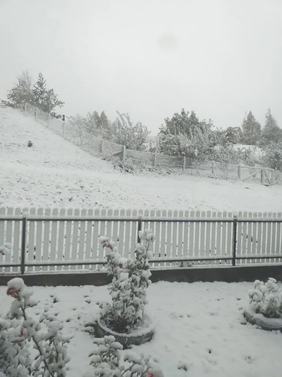 zapada vrancea
