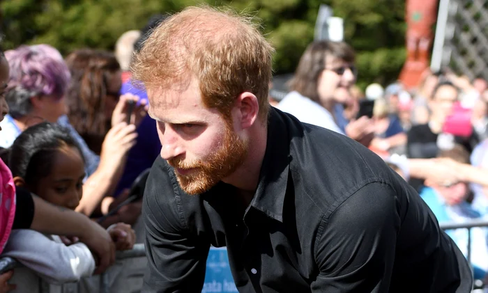 Prinţul Harry a întrebat al cui este copilul rătăcitFoto: Profimedia