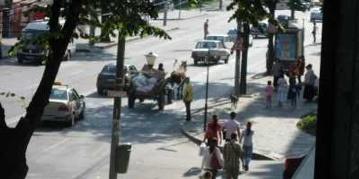 Brăila: Accident provocat de un căruţaş iresponsabil