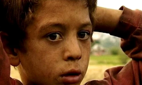 O recomandare film despre trei copii romi, o singură poveste jpeg