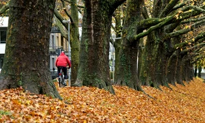 prognoza meteo Sursă foto: Profimedia