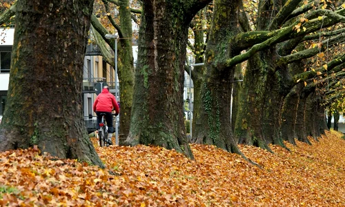 prognoza meteo Sursă foto: Profimedia